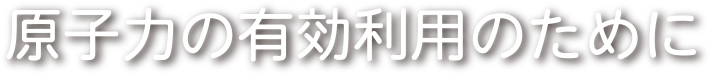 原子力の有効利用のために